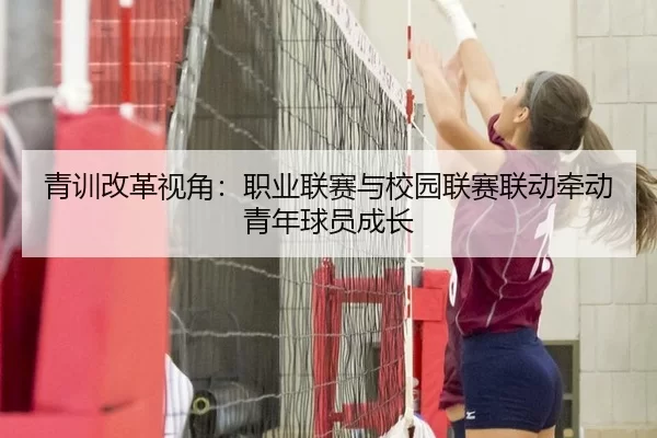 青训改革视角：职业联赛与校园联赛联动牵动青年球员成长